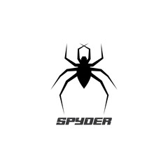 Spider Logo design vector illustration design template