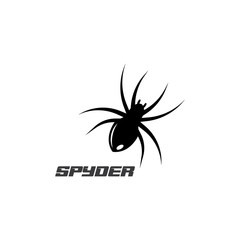 Spider Logo design vector illustration design template