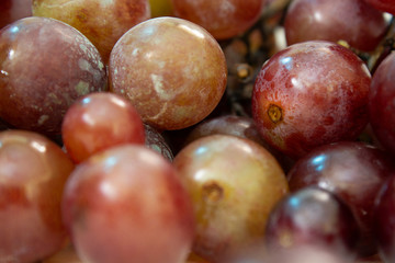 Raw grape without cleaning close up photo.