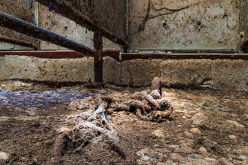 Rusty chain in empty sow barn
