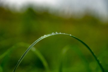 dancing drops of water in the sun