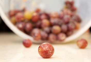 Single grape in focus with rest of the grapes out of focus in the background.