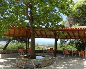 chairs resting in the shade