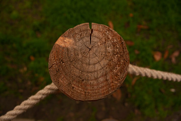 Wooden  pillar top view. A cut of a tree and annual rings. Part of the street fence.
