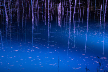 ライトアップされた夜の湖　美瑛町