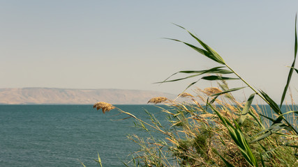 View of the sea of Galilee and mountains in the horizon