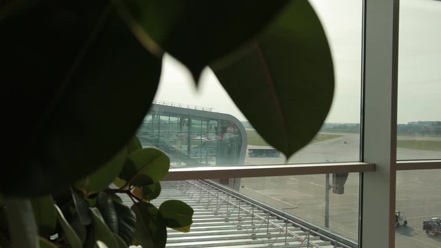 View from dirty glass window of terminal with green plant on runway, bus, plane. Workers of airport stand near aircraft.