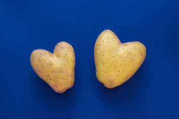 Two heart-shaped potatoes on a blue background.