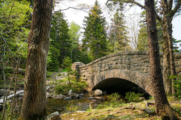 Acadia National Park, Bar Harbor, Maine