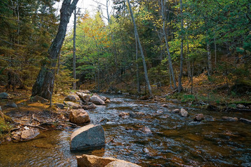Acadia National Park, Bar Harbor, Maine