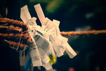 Close-Up O-mikuji, Japanese Fortune Papers in Shrine