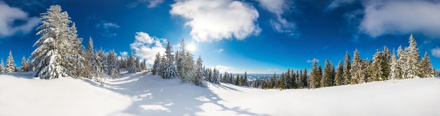 Fototapeta na wymiar Beautiful snow-covered slope with fir trees