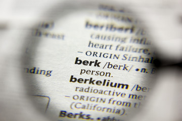 The word or phrase Berk in a dictionary.