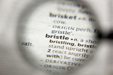The word or phrase Bristle in a dictionary.