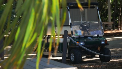 Fototapeta premium golf cart