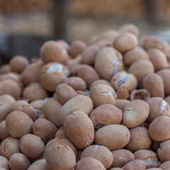healthy nuts for diet and as a treat for adults and children