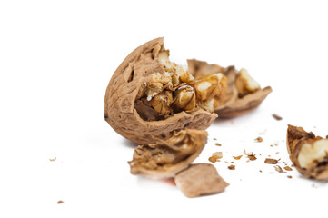 Walnut isolated on white background.Copy space.