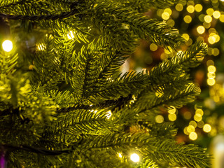 Christmas tree branch on a background of garlands. The atmosphere of the holiday. Selected Focus, Blur