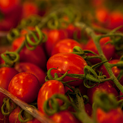 tomatoes healthy healthy nutrition vegetables for everyone vegetarian food side dish and salads