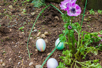 three easter eggs hidden in flower garden near forget-me-not