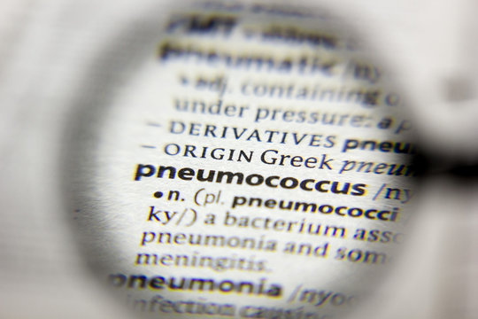 The word or phrase Pneumococcus in a dictionary.