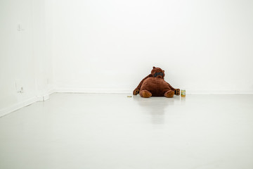 Big abandoned grizzly bear in a white room
