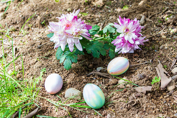 three easter eggs hidden in flower garden near forget-me-not