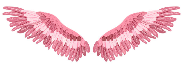 Pink magic beautiful flamingo wings, vector