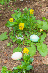 three easter eggs hidden in flower garden near pansys