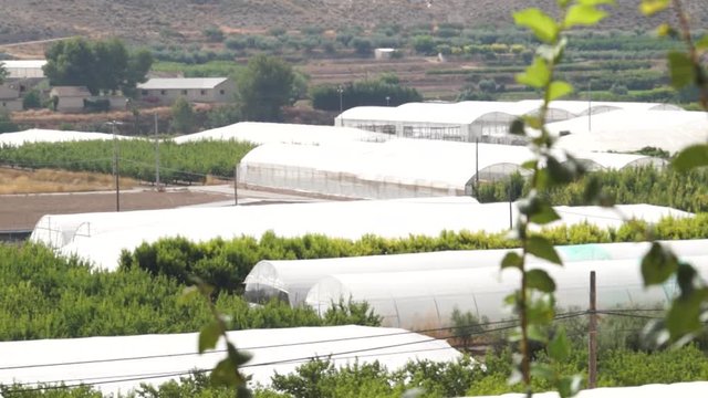 Eco greenhouse terrace roofs landscape layout, rack focus medium shot 