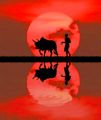 silhouette man with a cow walks on sunrise background