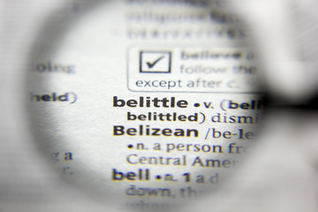 The word or phrase belittle in a dictionary.