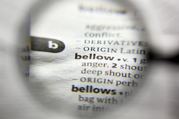 The word or phrase bellow in a dictionary.