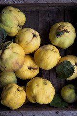 Ripe large quince fruit and slice with green foliage in late autumn on brown wooden table. top view