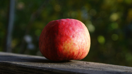 tasty ripe bright red apple on a wooden table against a background of greenery with blurred focus