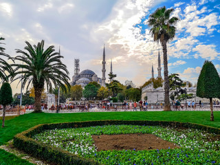 Beautiful landscape on Sultanahmet Square in Istanbul with palm trees and a Blue Mosque on the horizon. Beautiful exotic panorama of muslim city, concept of travel to Turkey