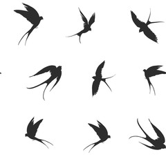 Seamless patterns with flying swallows. Vector shapes with transparent background.