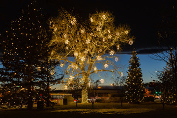 Obraz premium Snowflake Holiday lights at dusk in small town park
