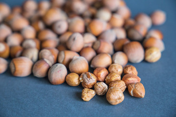  Photos of hazelnut name hazelnut