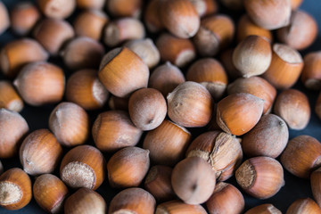  Photos of hazelnut name hazelnut