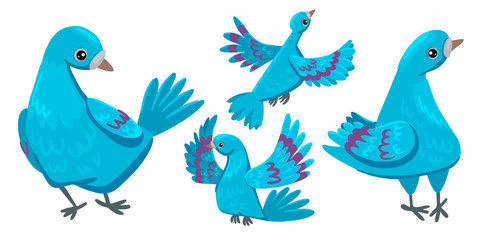 Obraz premium Pigeons. Set of different poses. Flying and sitting bird. Vector illustration