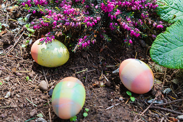 three easter eggs hidden in flower garden near heather blooms