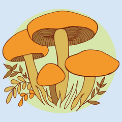 Mushrooms vector illustration hand drawing