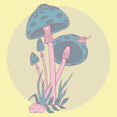 Mushrooms vector illustration hand drawing