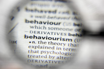 The word or phrase behaviourism in a dictionary.