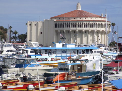 catalina island 014