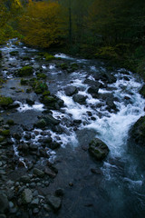 River With Small Waterfalls In Machachela National Park
