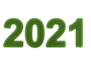 grünes Jahr 2021 aus Gras