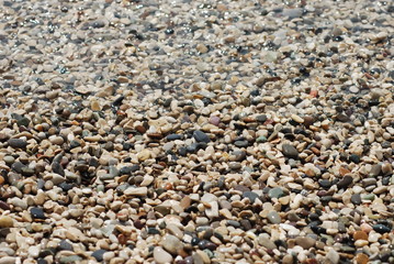 Beautiful colorful and small pebbles on the beach