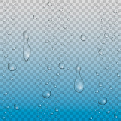 Realistic vector water drops 
